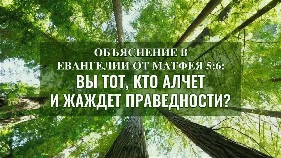 Блаженны алчущие и жаждущие правды ибо они. Блаженны алчущие и жаждущие правды ибо они