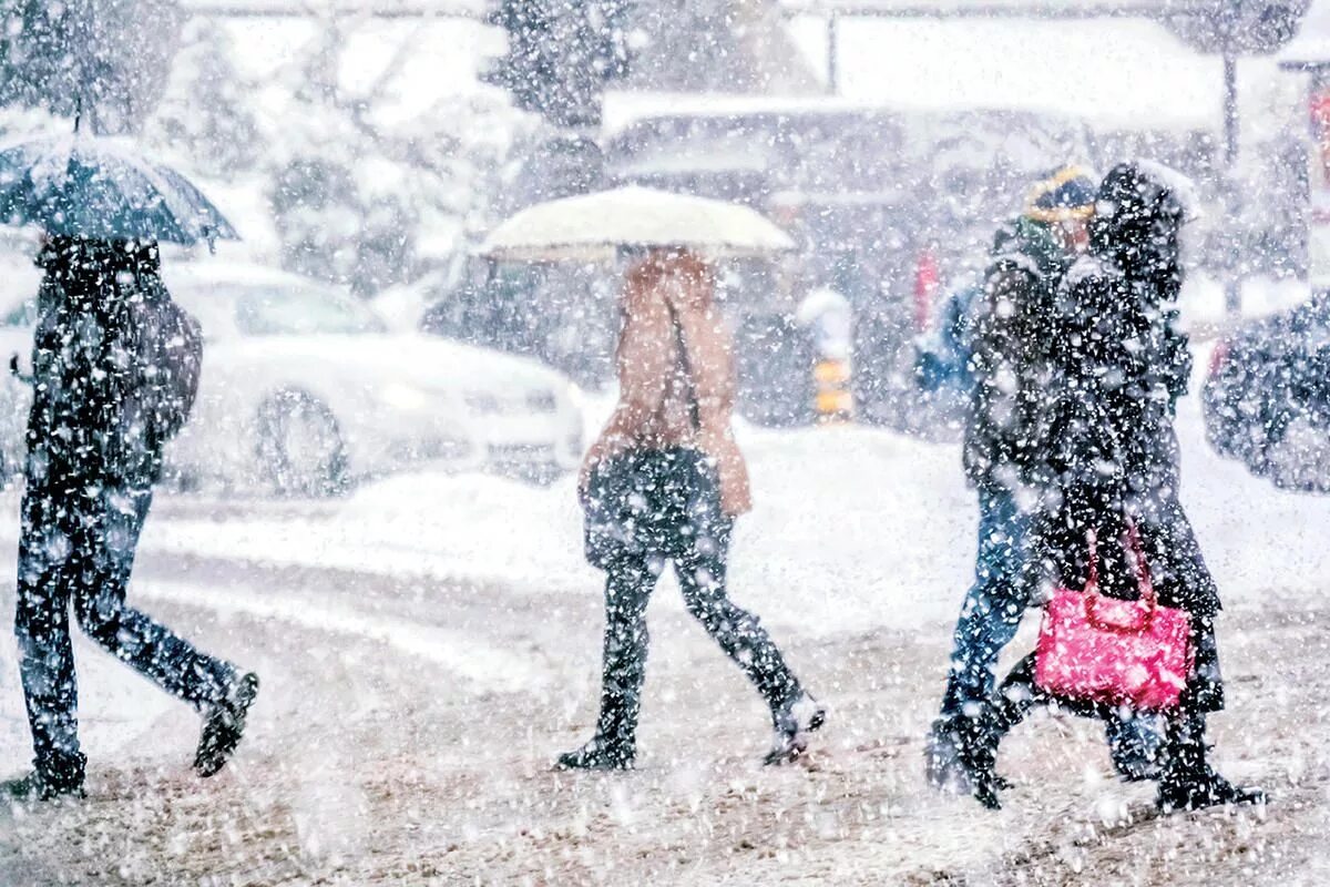 Cold and snowy. Снегопад. Снег идет. Человек в снегопад. Зима снегопад.