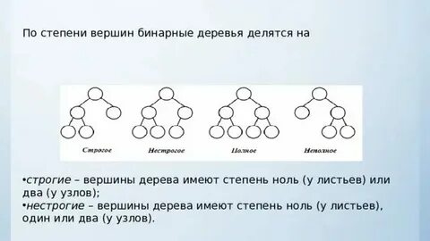C вершина дерева