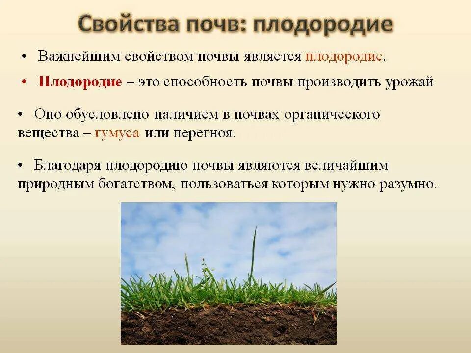 Плодородие это свойство почвы которое