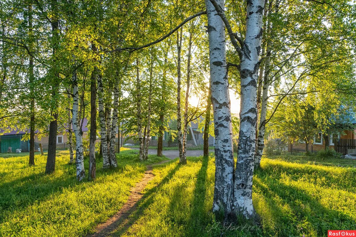 Каким будет лето в пермском крае