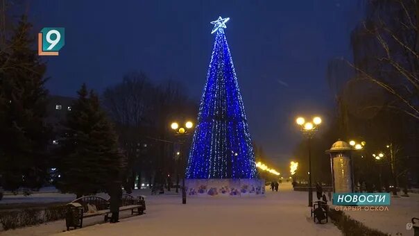 Фотоальбом "Мои фотографии" - Татьяна, Старый Оскол, 34 года