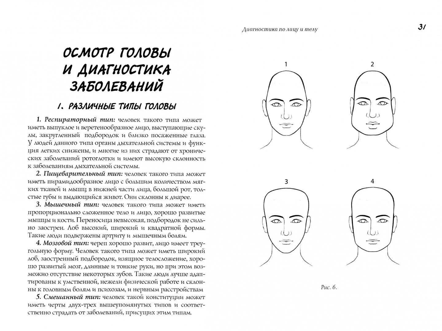 Определение формы головы. Форма головы. определяем болезни по лицу. физиогномика болезней. форма лба.