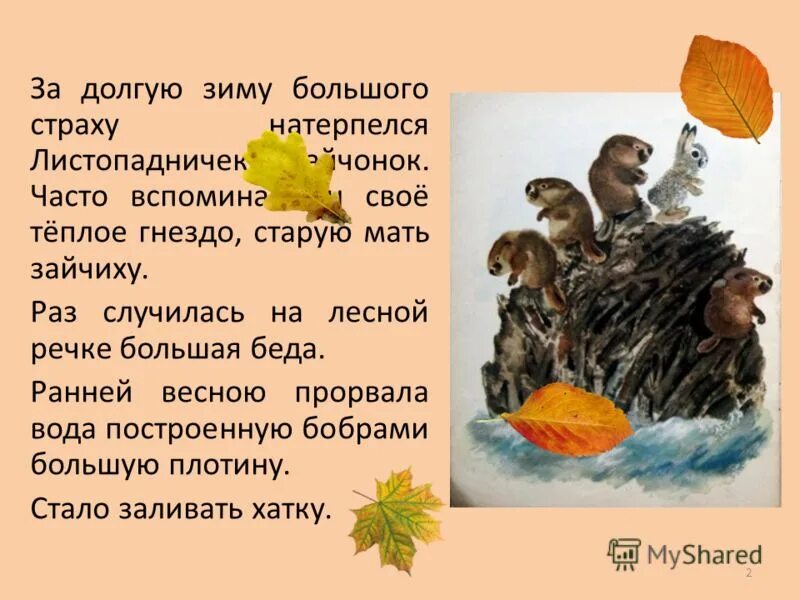 Каких страхов натерпелся листопадничек за долгую зиму. Каких страхов натерпелся листопадничек за долгую зиму