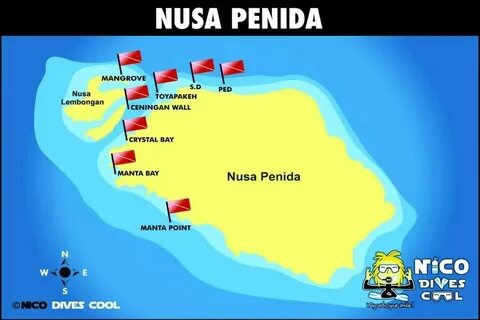 Карта нуса