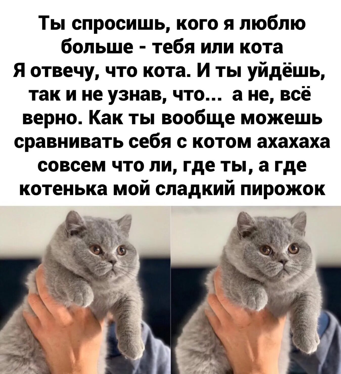 Кого он больше любит. У матери спросили кого. Любить и молчать. Хорошие цитаты. Я тебя люблю стихи.