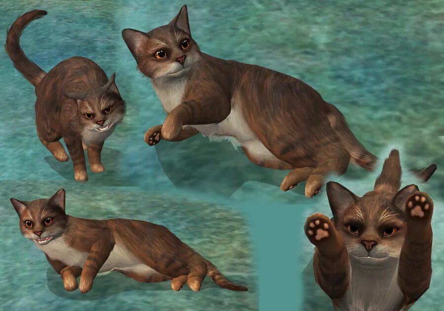 Дикие родичи кошки игра. Игры дикой кошки. Животные из игры cat spa. Игры дикой кошки. Catlife игра коты воители.