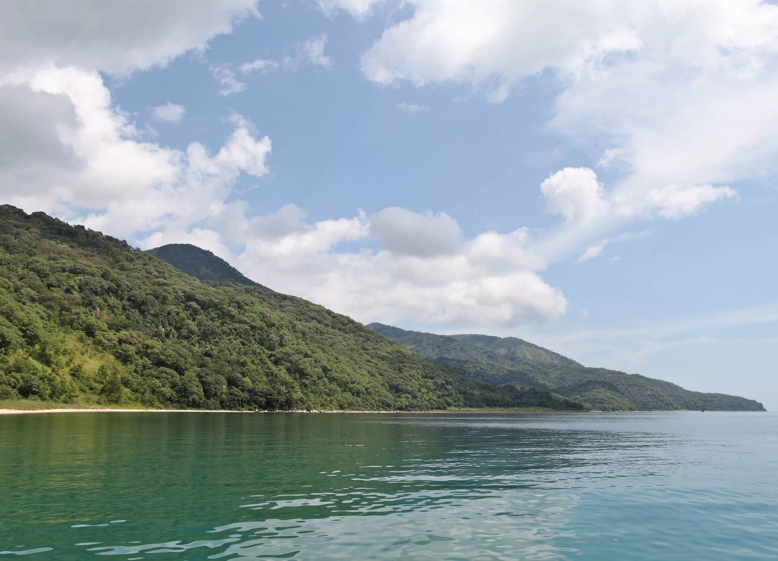 Танганьика. Танганьика. Озеро танганьика в африке. Танганьика. Озеро танганьика в африке.