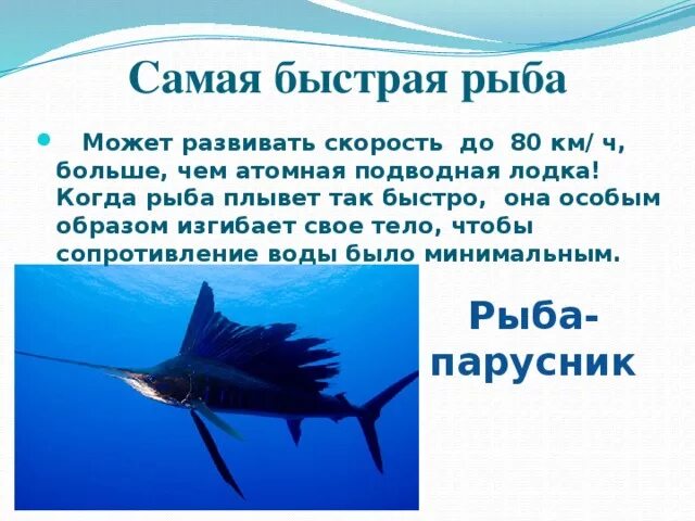 Почему рыбы самый. Презентация на тему рыбы. Кожные железы у рыб. Память рыбки. Рыбы дышат при помощи.