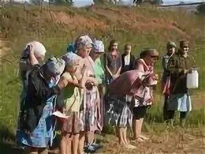 Погода мари купта