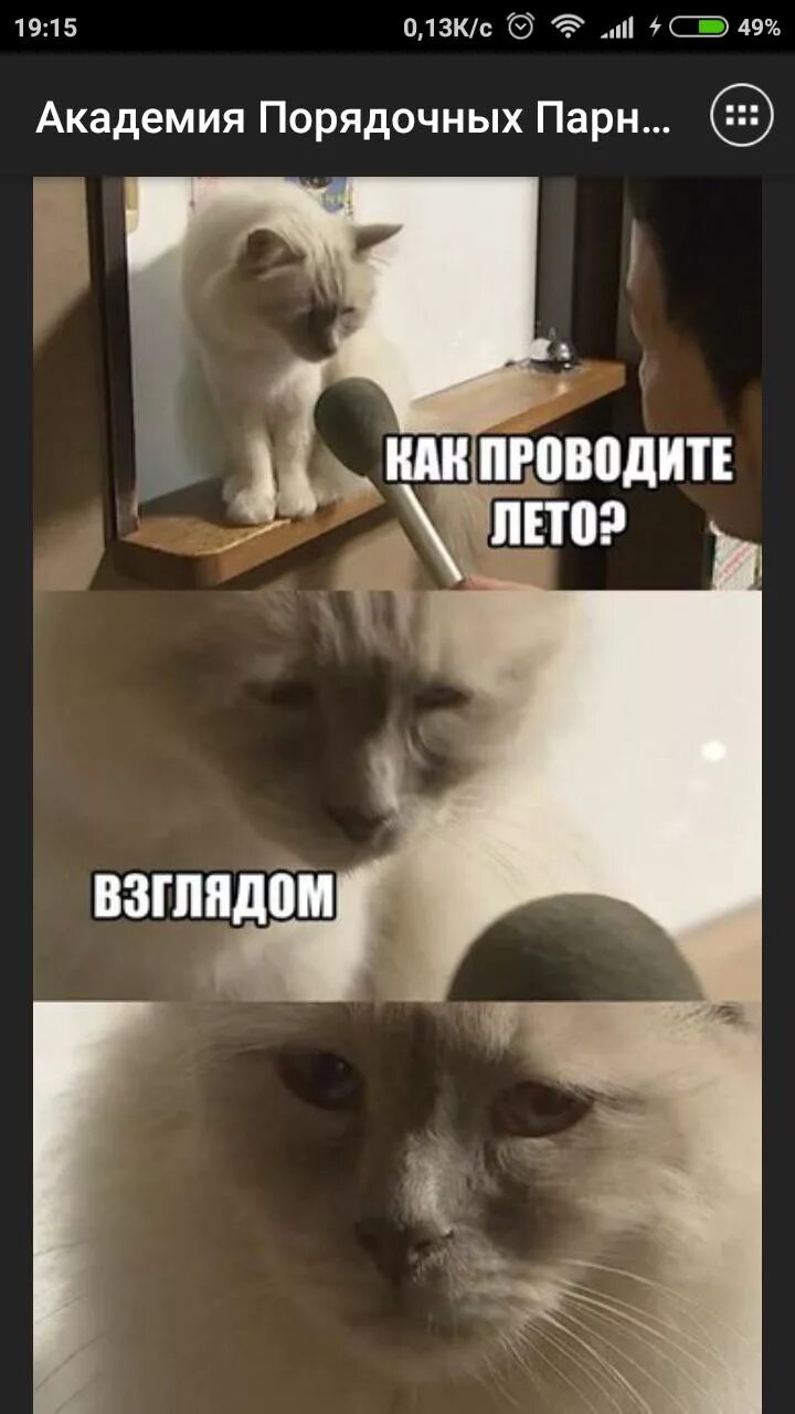Едем куда нибудь