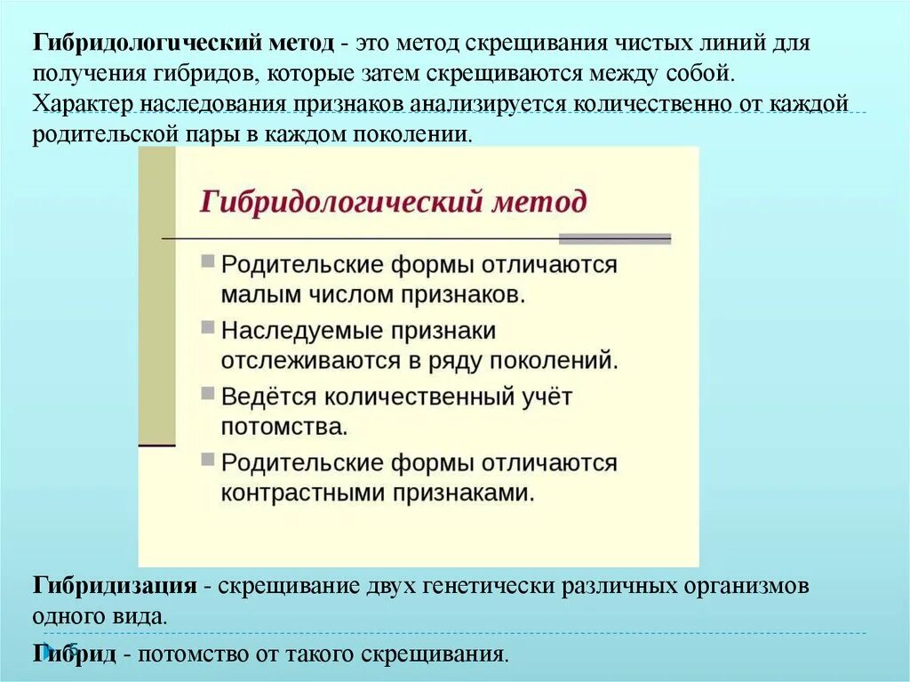 Чистые линии и форма