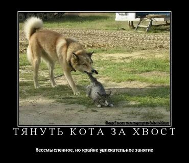 Даже не тянет