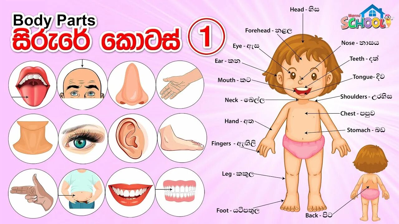 This is my body. Body Parts. Body Parts for Kids. Body Parts Vocabulary. Body Parts mouth.