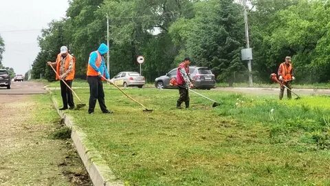 Погода в коси