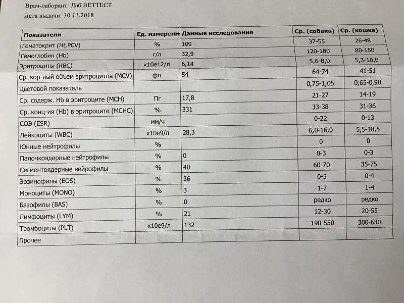 Показатель СОЭ В анализе крови норма. Показатели СОЭ при онкологии у женщин. Таблица показателей СОЭ при онкологии у женщин. ОАК ребенок 4г СОЭ. Анализ крови повышенный соэ причины