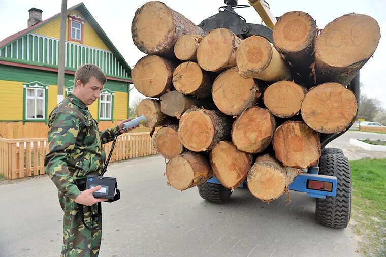 Приемка древесины. Учет древесины. Контроль древесины. Измеритель влажности древесины parkside. Testo 606-1 - карманный влагомер.