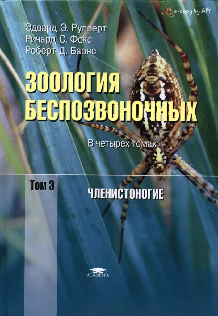 Э зоология. Рупперт э. э. зоология беспозвоночных. в 4 томах.. зоология беспозвоночных. э., фокс р.с., барнс р.д... рупперт э э зоология беспозвоночных. руперт зоология беспозвоночных в 4 томах.