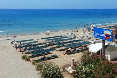 Отель sea beach отзывы