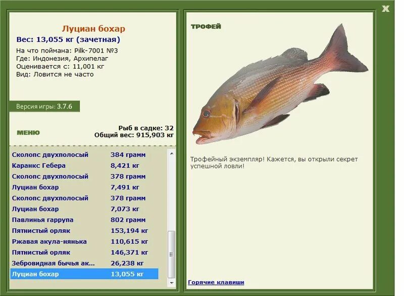 Луциан 3.3. Лобан рыбы русская рыбалка. Русская рыбалка Австралия красный луциан. Русская рыбалка 3 6 нефритовый окунь. Как называется рыба из семейства лещовых.