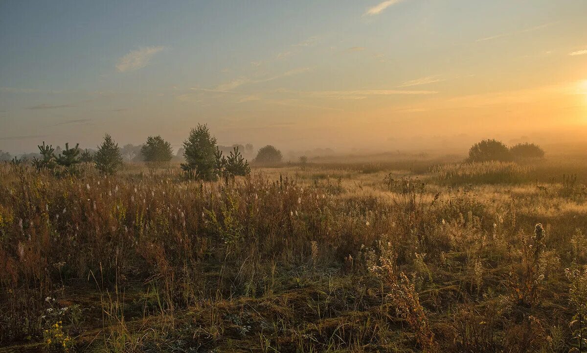 Деревня пашня