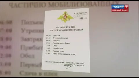 Приказ шойгу о мобилизации 2024 года