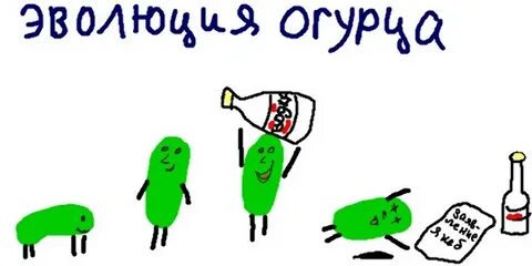 День жопки огурца