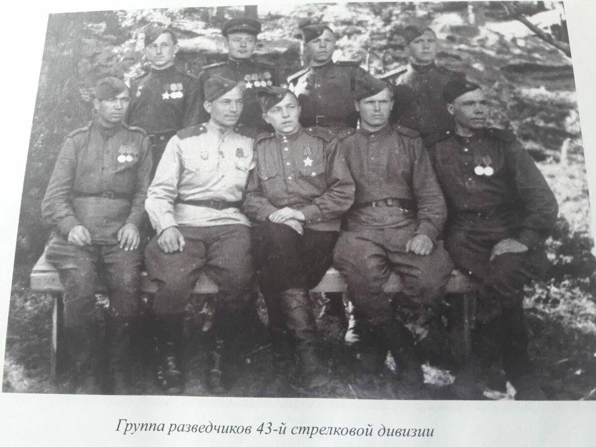 Р. 43 стрелковая. 43 стрелковая. Начальник разведки в 1942. 311 стрелковая дивизия боевой путь.