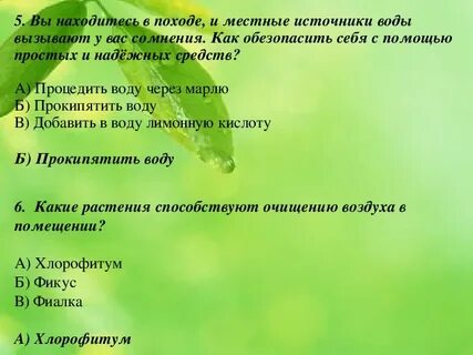 Источник места текст