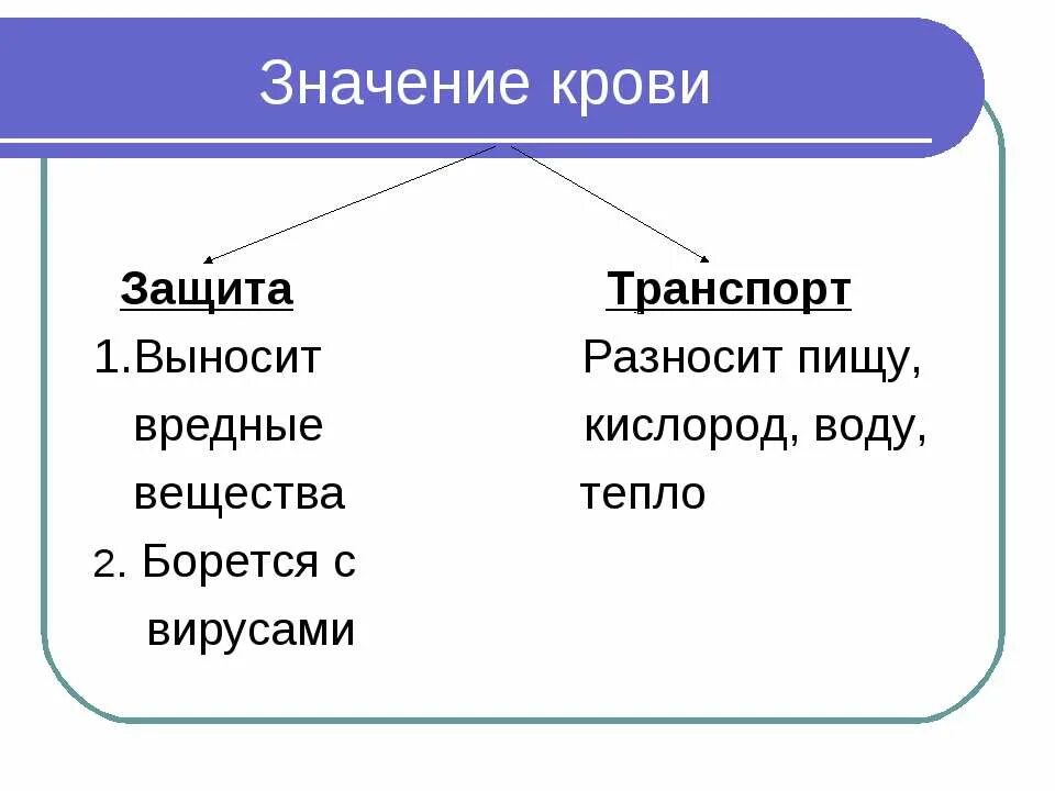 Какого значение крови для организма. Значение крови. Значение крови для организма человека. Значение крови для организма человека 4 класс. Кровь значение крови.