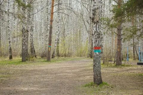 Походу парк