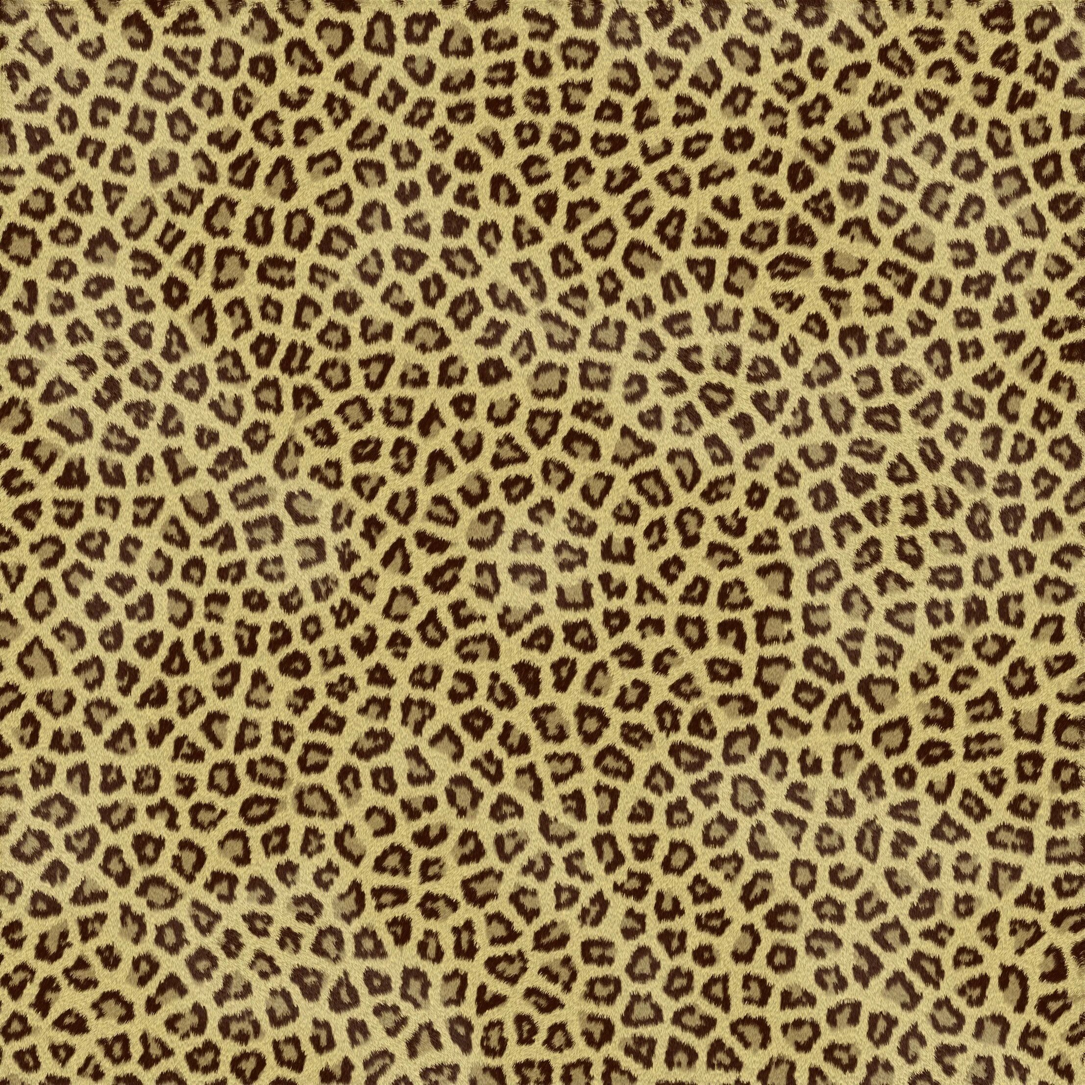 Animal pattern