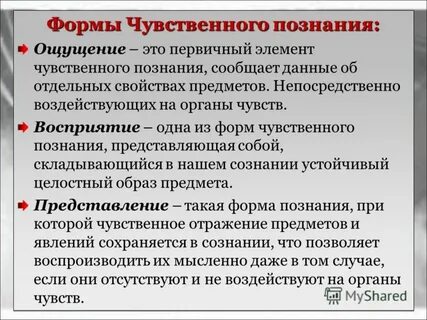 Роль восприятия в познании