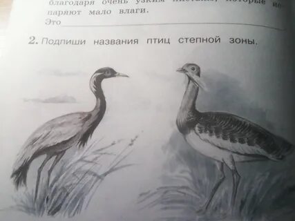 Степь под цифрой 1