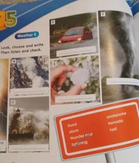 Fill in avalanche tornado pollution endangered
