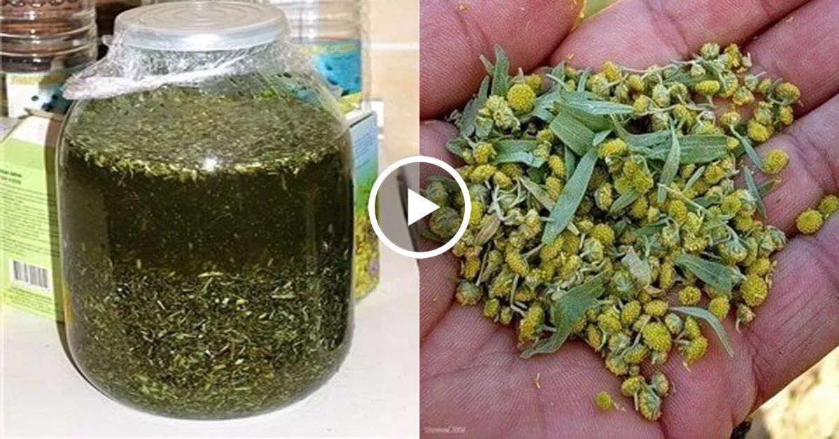 Чистить полынью