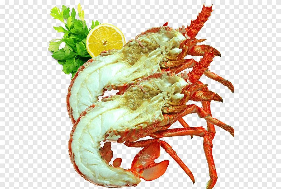 Лангусты крабы