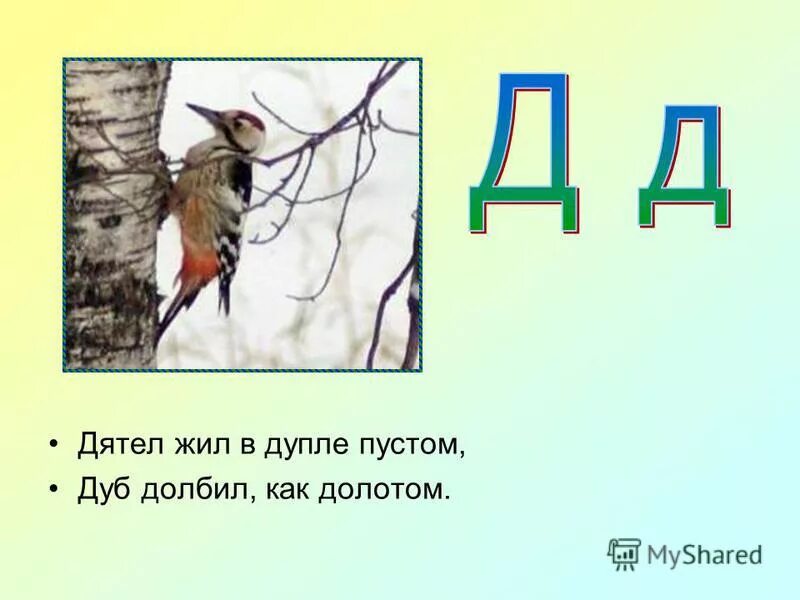 Дупло дятла. Рассказ про дятла. Дупло дятла. Дятел на дубе. Дятежилвдуплепустомдуб долбикакдолотом.