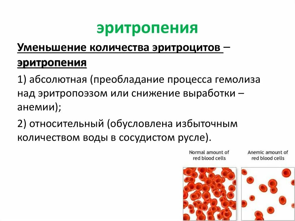 Относительная анемия. Уменьшение количества эритроцитов. Эритропения. Уменьшение количества эритроцитов в крови. Причины снижения количества эритроцитов.