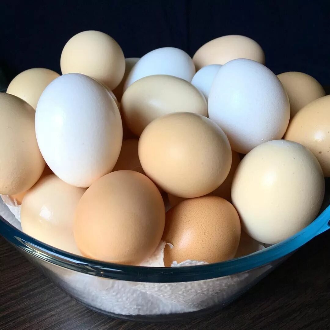 Яйцо куриное. Домашние яйца. Яйца кур. Столовое яйцо.