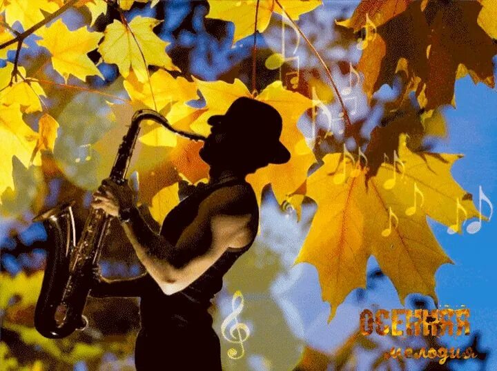 Осенний джаз. Лист с саксофоном. Осень вальс Бостон. Скрипка и листья. Осенняя грусть саксофона