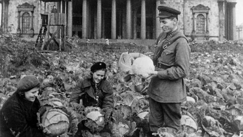 Ленинград сентябрь 1942
