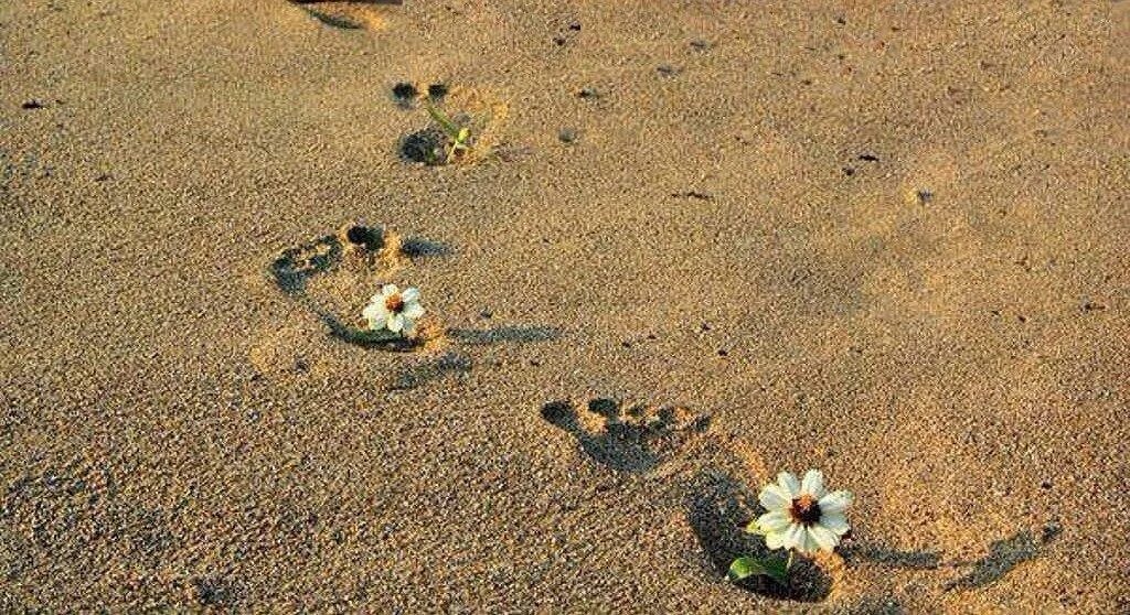 Какой след хочу оставить на земле. Следы на песке. Следы уходящего человека на песке. Оставляйте красивые следы в жизни. Следы из цветов.