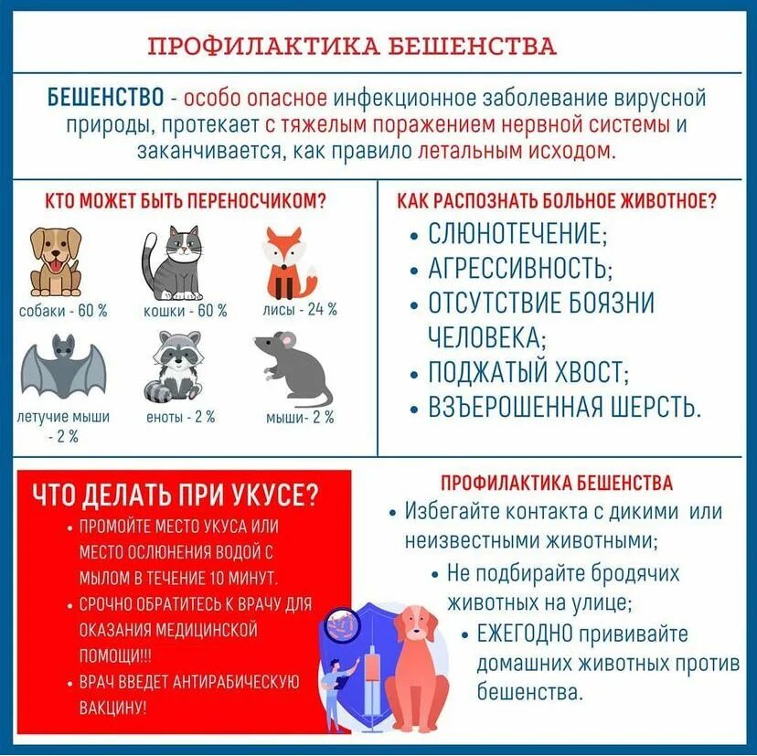 Профилактика бешенства. С целью профилактики бешенства используется. для профилактики бешенства применяют. бешенство профилактика категория.
