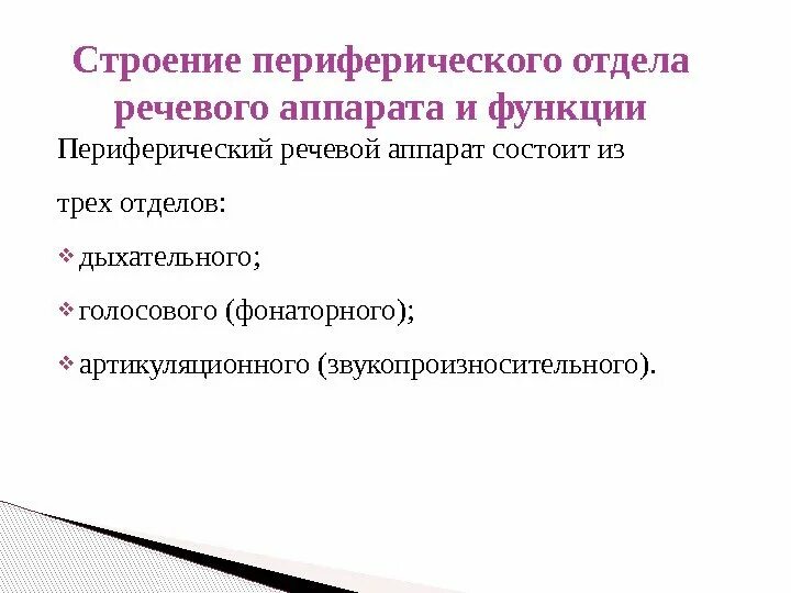 Строение центрального отдела речевого аппарата. Строение центрального отдела речевого аппарата