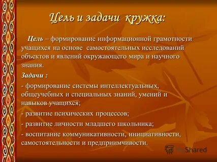 Задачи кружка
