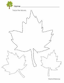 Leaves worksheets