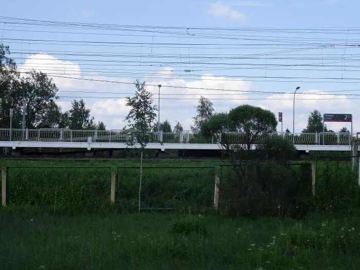 Железнодорожная станция нурма. Ушаки тосненский район школа. П рябово тосненского района ленинградской области. Поселок ушаки ленинградская область. Автобусы ушаки тосно.