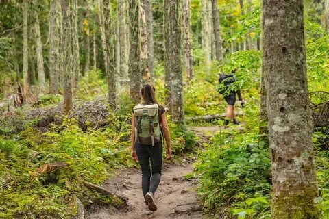 Hike trail hiker woman walking in autumn fall nature woods during fall seas...