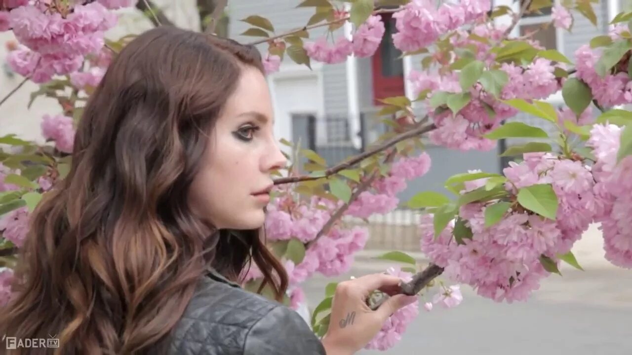 Lana blossom. Lana del rey обложка. Lana blossom. Lana del rey cherry blossom lyrics. Cherry lana del rey текст и перевод.
